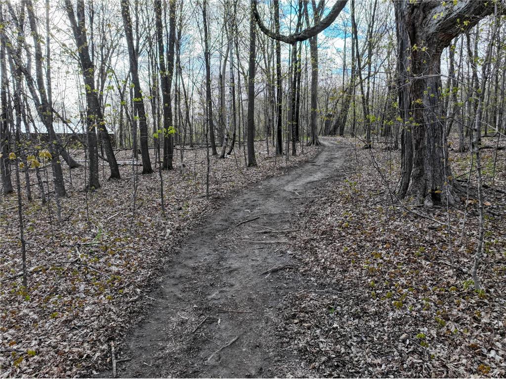 21945 County 38 Reynolds Twp MN 56347 7071686 image81