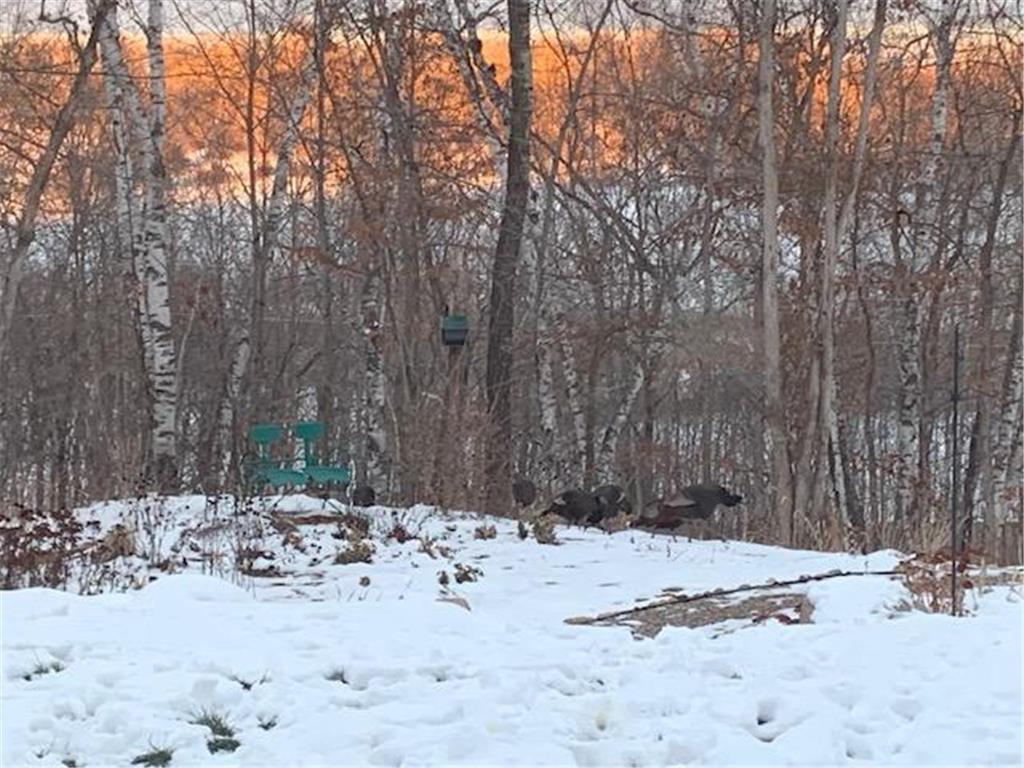 21945 County 38 Reynolds Twp MN 56347 7071686 image94