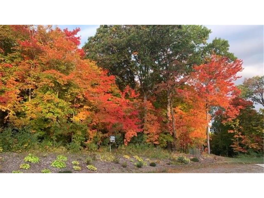 21945 County 38 Reynolds Twp MN 56347 7071686 image99