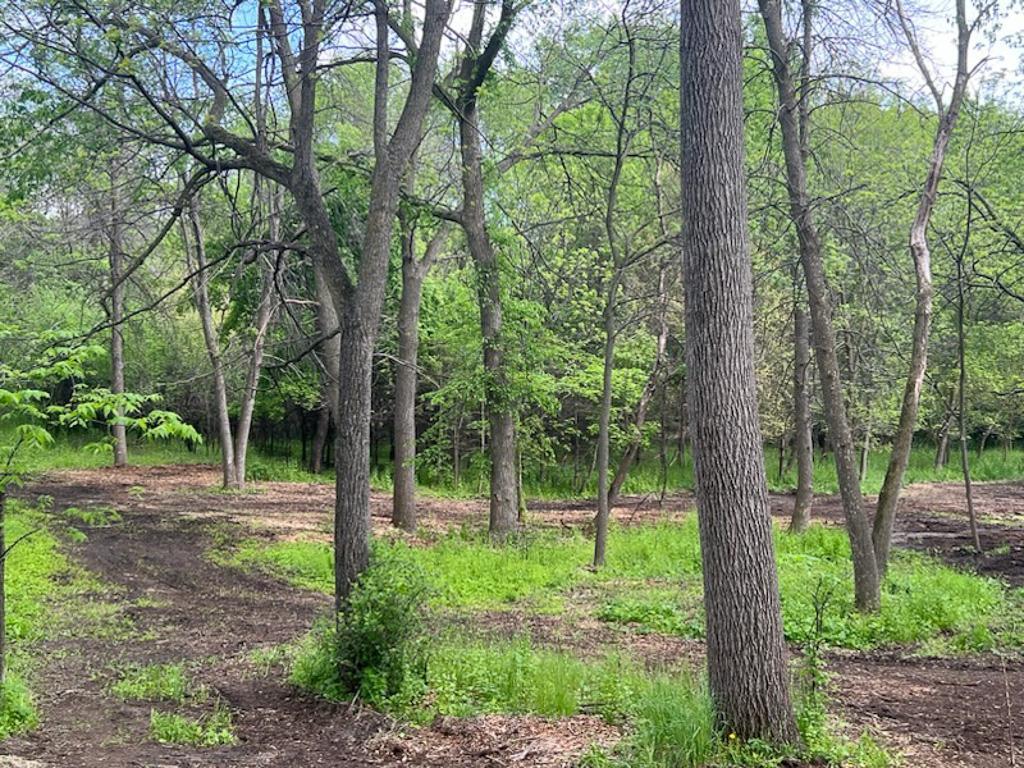 2195 Watertown Road Orono MN 55356 7023734 image10