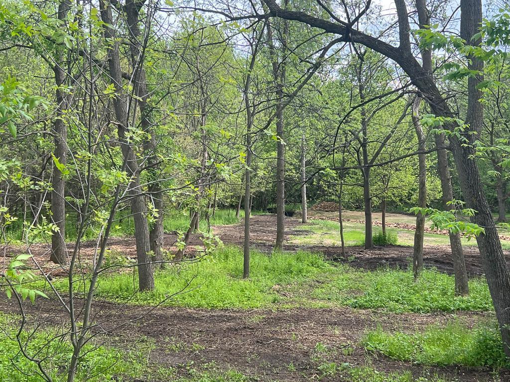2195 Watertown Road Orono MN 55356 7023734 image11