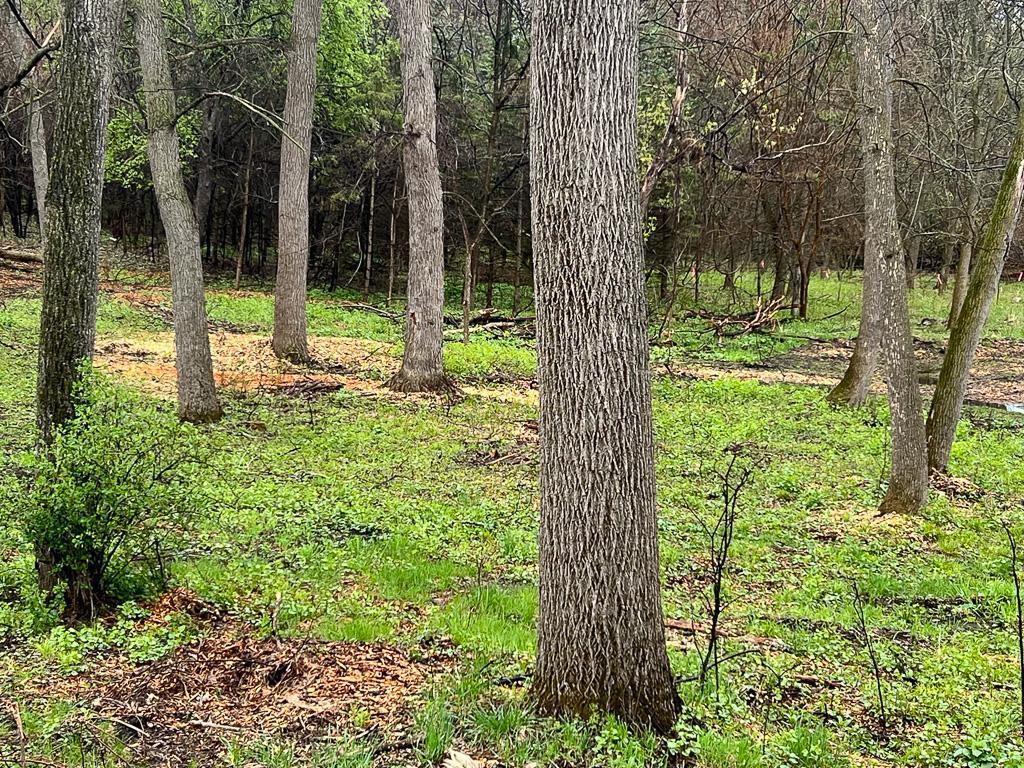 2195 Watertown Road Orono MN 55356 7023734 image6