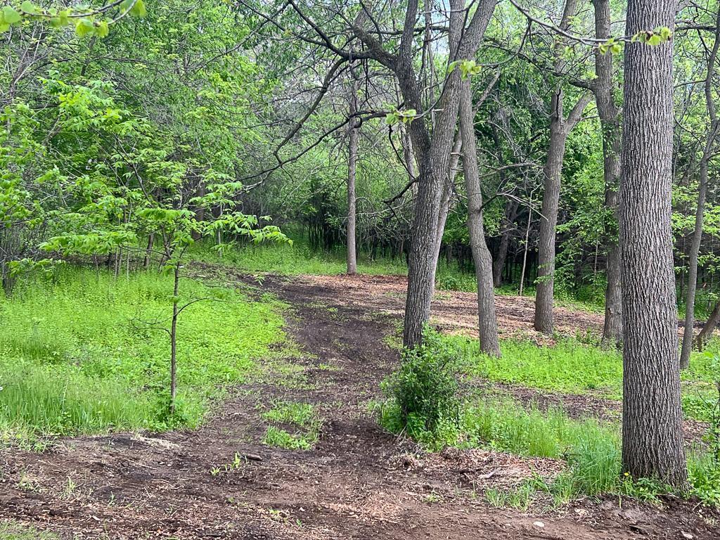 2195 Watertown Road Orono MN 55356 7023734 image7