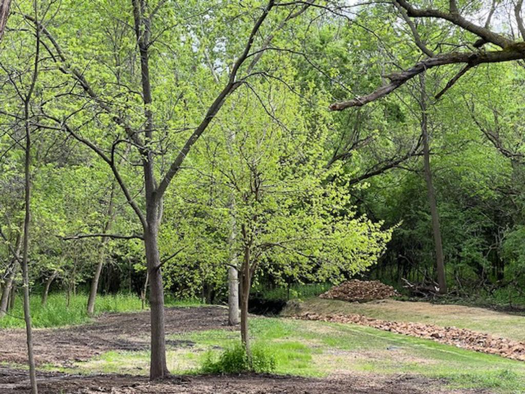 2195 Watertown Road Orono MN 55356 7023734 image8