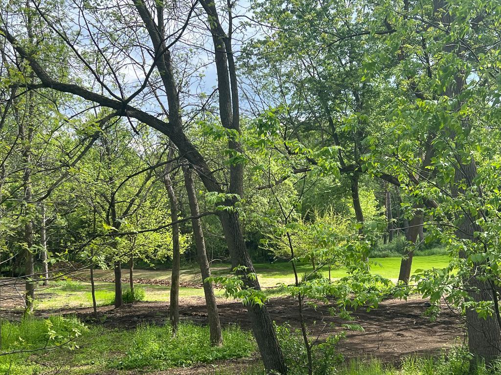 2195 Watertown Road Orono MN 55356 7023734 image9