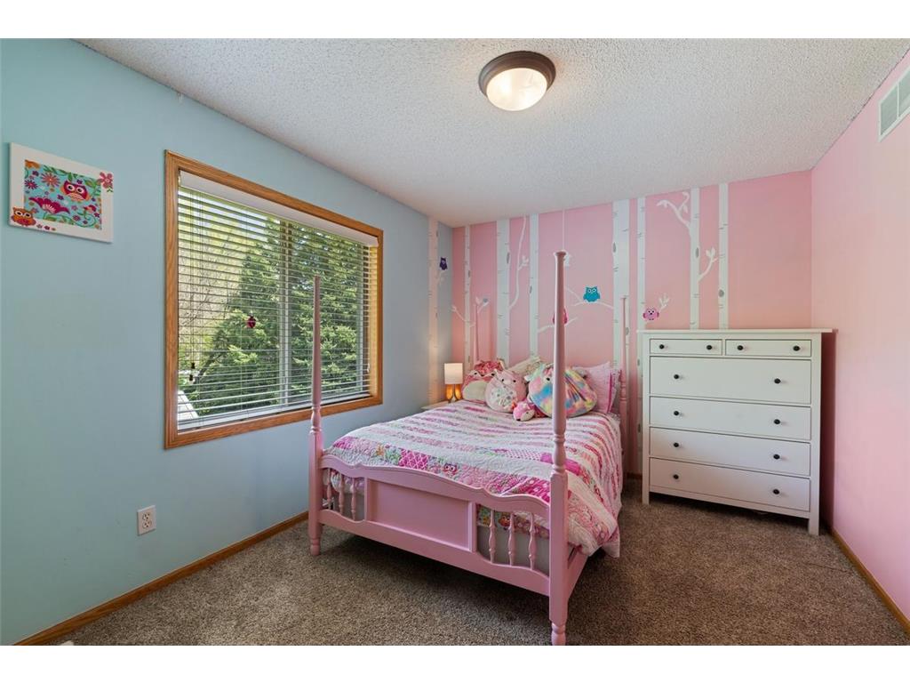 2197 Jean Way Elko New Market MN 55054 7072421 image11