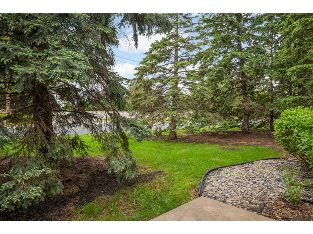 2198 Water Lilly Lane Eagan MN 55122 7076568 image25