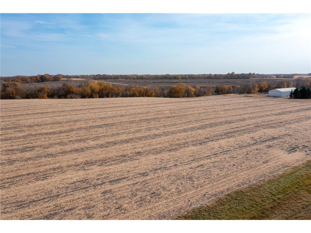 21XXX 311th Avenue Faxon Twp MN 56044 6620937 image1