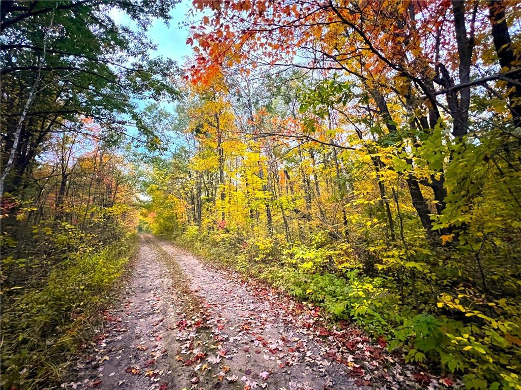 21XXX 383rd Street Isle MN 56342 6437429 image1