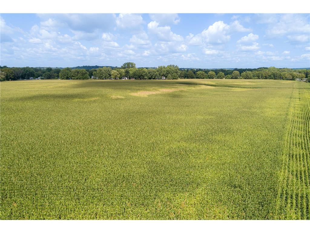 21XXX Bagley Avenue Faribault MN 55021 6772873 image17