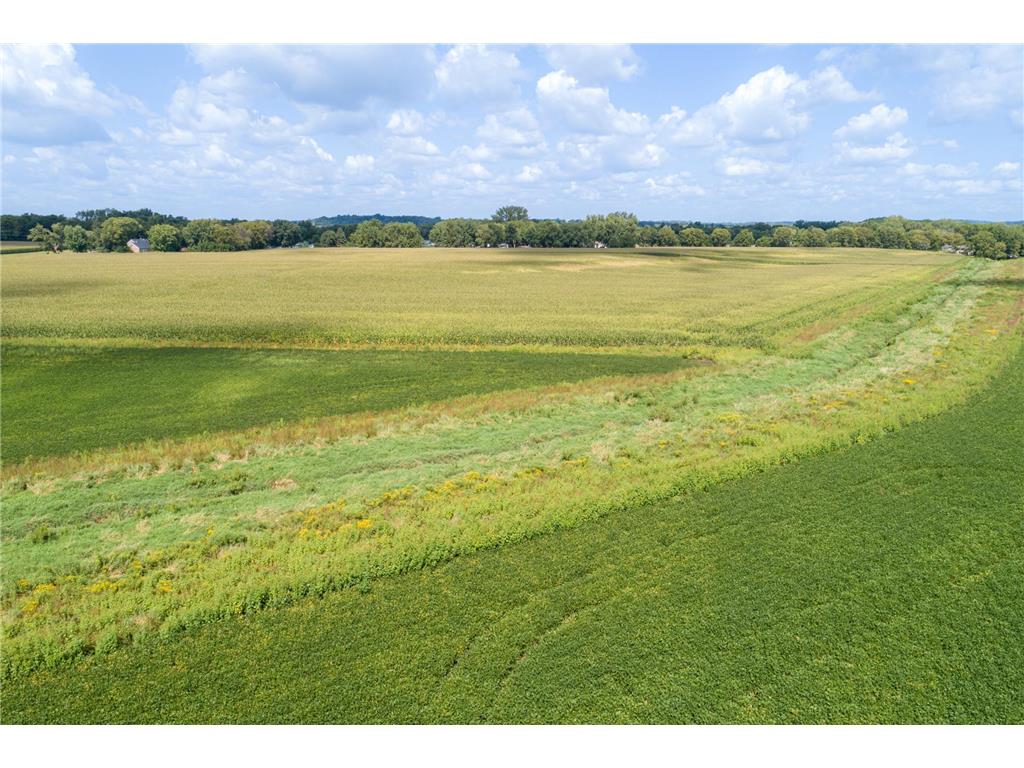 21XXX Bagley Avenue Faribault MN 55021 6772873 image6