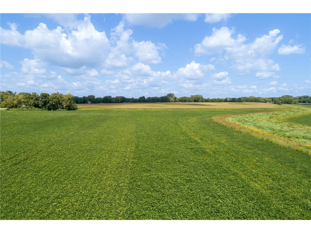 21XXX Bagley Avenue Faribault MN 55021 6772873 image7