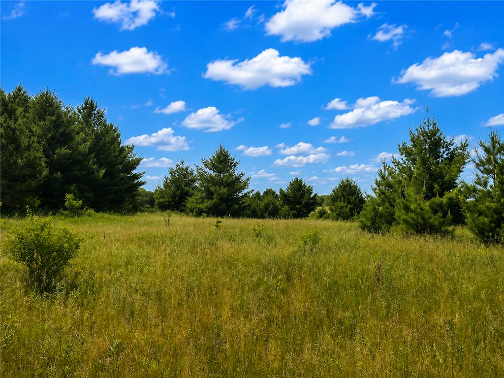 21xx 140th Avenue Saint Croix Falls WI 54024 7087176 image1