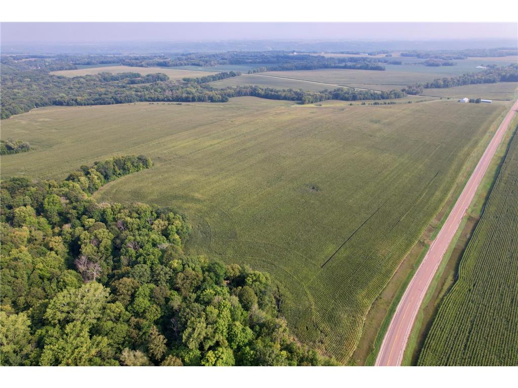 21xxx 311th Avenue Henderson MN 56044 6481952 image1