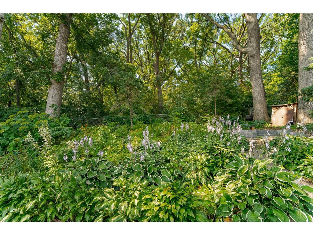 22 23rd Street SW Rochester MN 55902 7056020 image36
