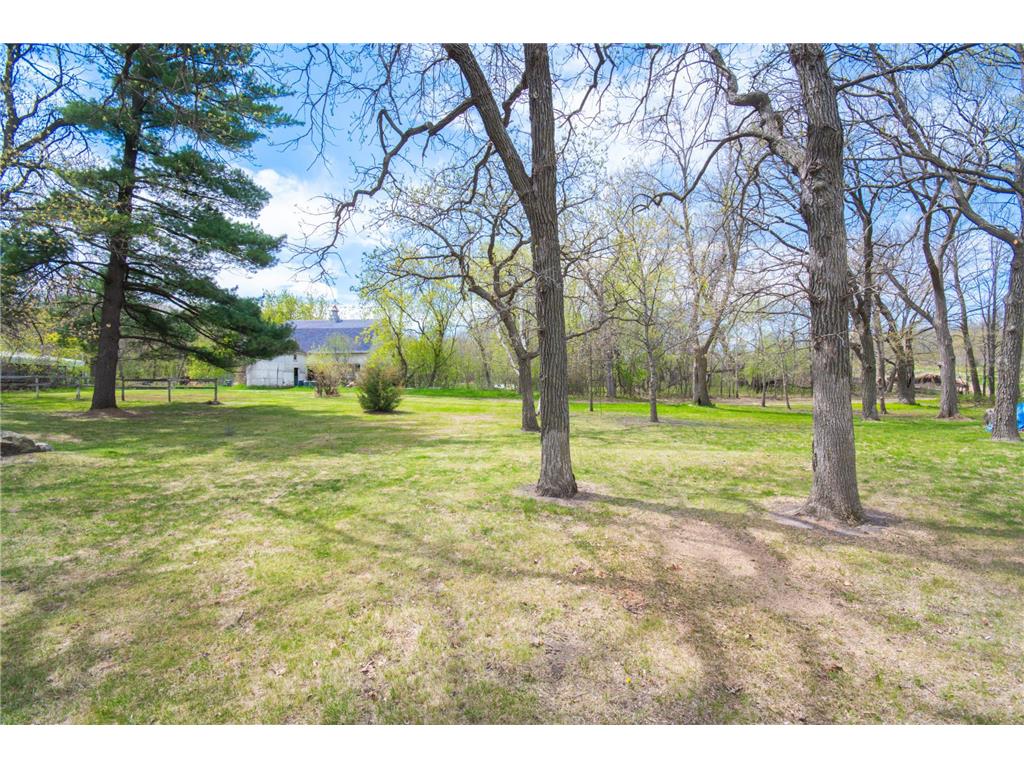 220 Birch Avenue Alexandria MN 56308 7051317 image30