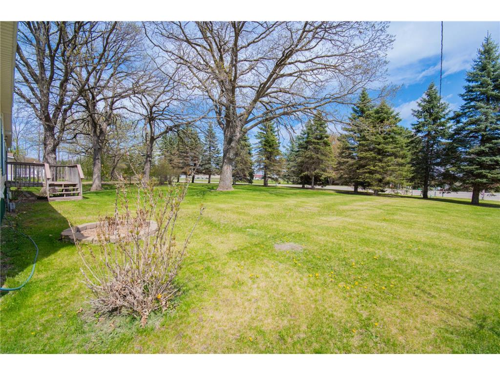 220 Birch Avenue Alexandria MN 56308 7051317 image31