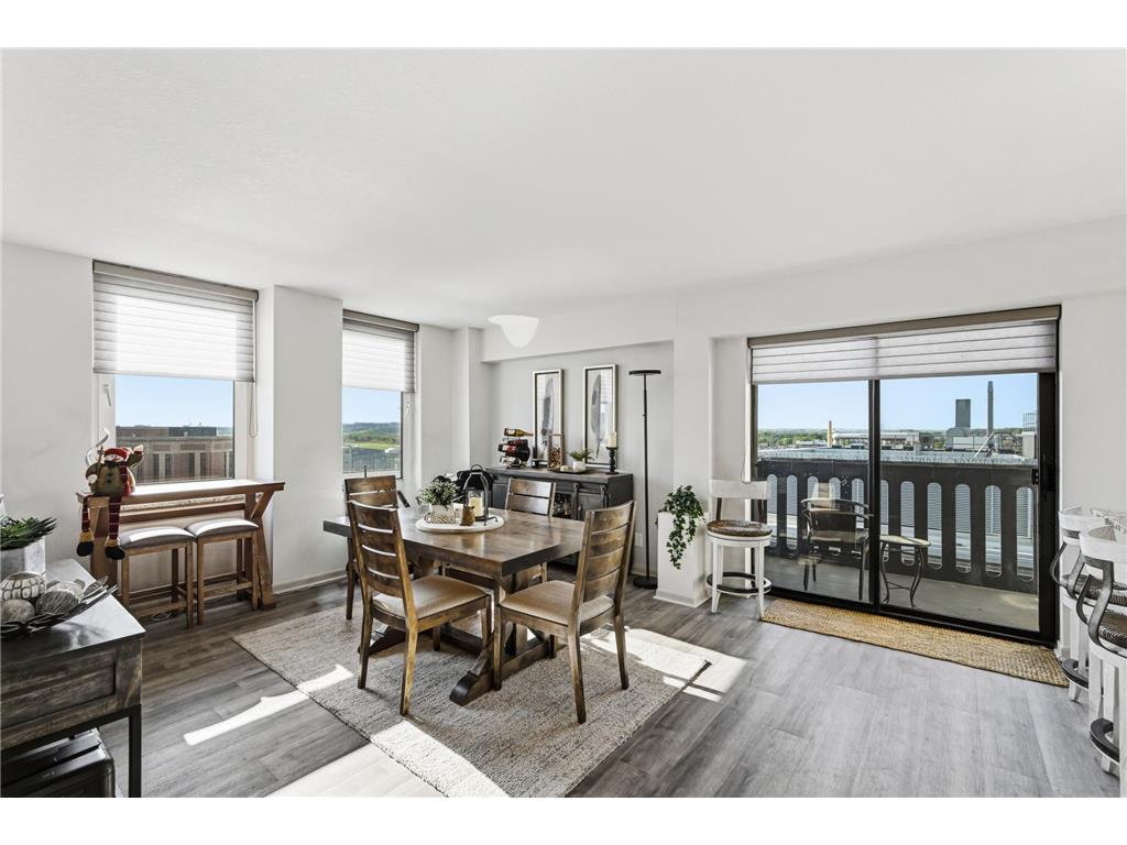 220 Broadway Avenue S #1104 Rochester MN 55904 - Zumbro River - South Fork 7064968 image5