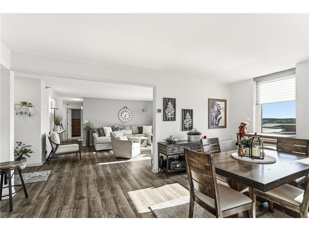 220 Broadway Avenue S #1104 Rochester MN 55904 - Zumbro River - South Fork 7064968 image6