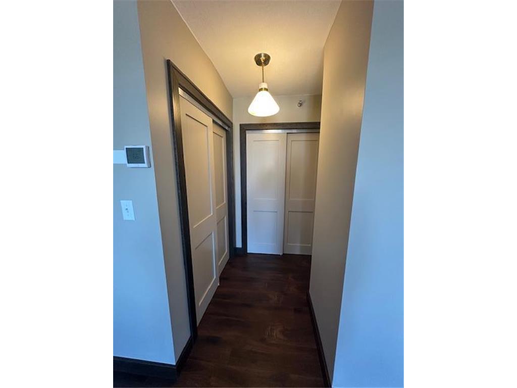 220 Broadway Avenue S #1107 Rochester MN 55904 6681985 image24