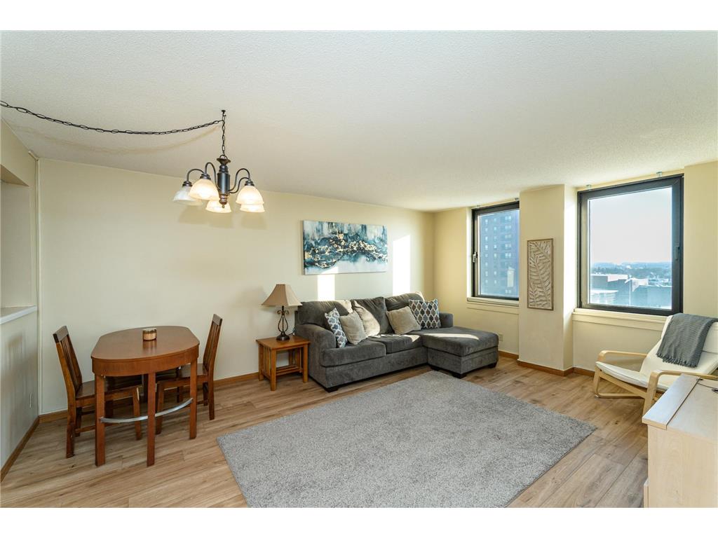 220 Broadway Avenue S #1112 Rochester MN 55904 - Zumbro River - South Fork 6808157 image2