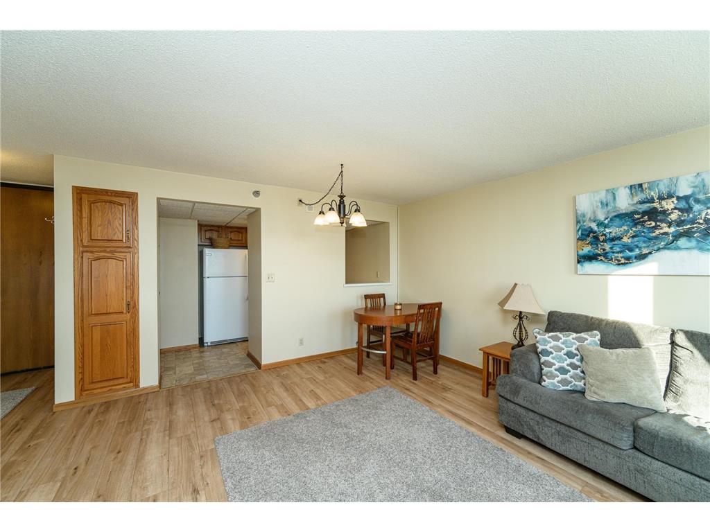 220 Broadway Avenue S #1112 Rochester MN 55904 - Zumbro River - South Fork 6808157 image4