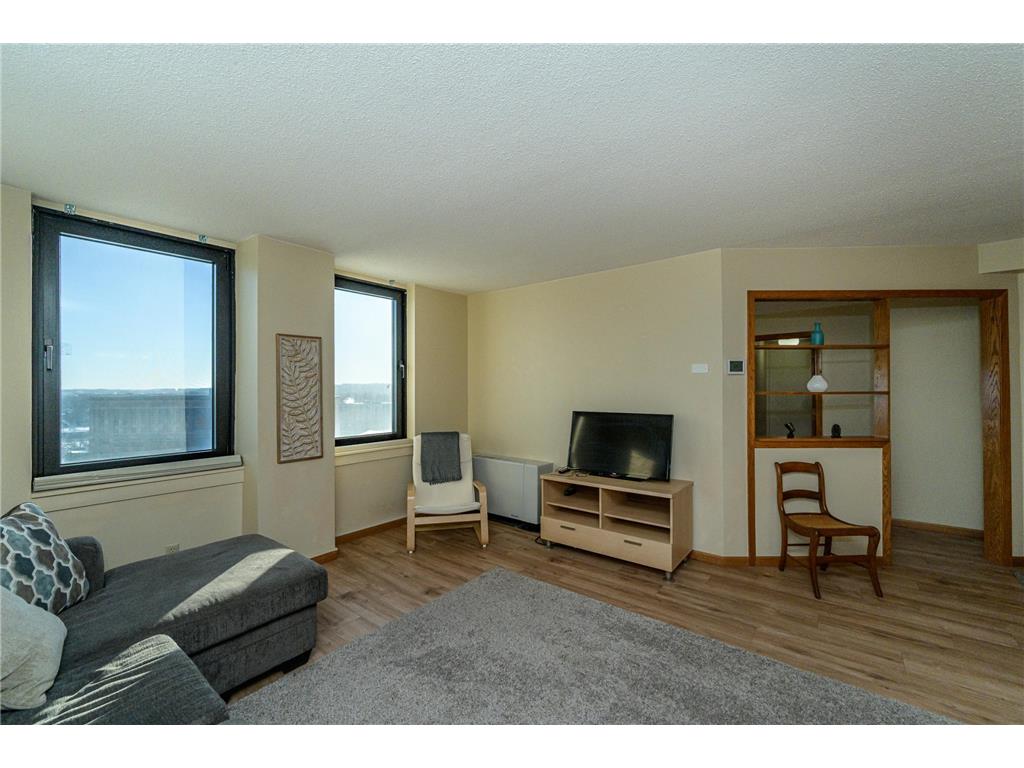 220 Broadway Avenue S #1112 Rochester MN 55904 - Zumbro River - South Fork 6808157 image5