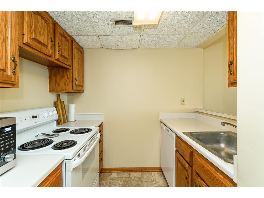 220 Broadway Avenue S #1112 Rochester MN 55904 - Zumbro River - South Fork 6808157 image7