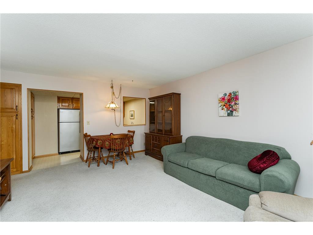 220 Broadway Avenue S #1417 Rochester MN 55904 6794100 image6
