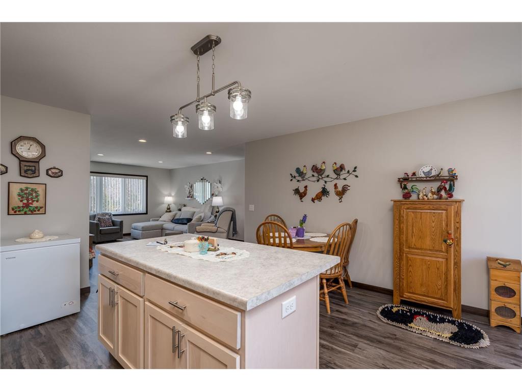 220 Maple Avenue SW Elysian MN 56028 7046788 image13