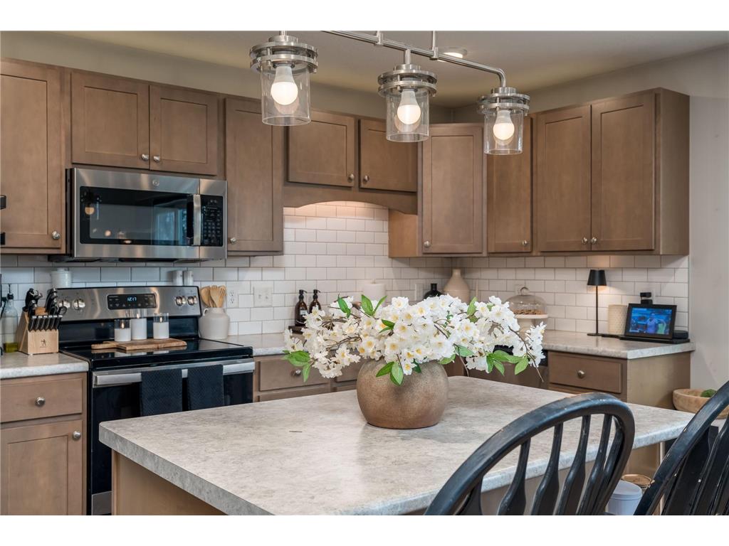 220 Maple Avenue SW Elysian MN 56028 7046788 image65