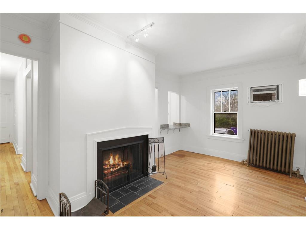 220 Marshall Avenue #3 Saint Paul MN 55102 7073222 image11
