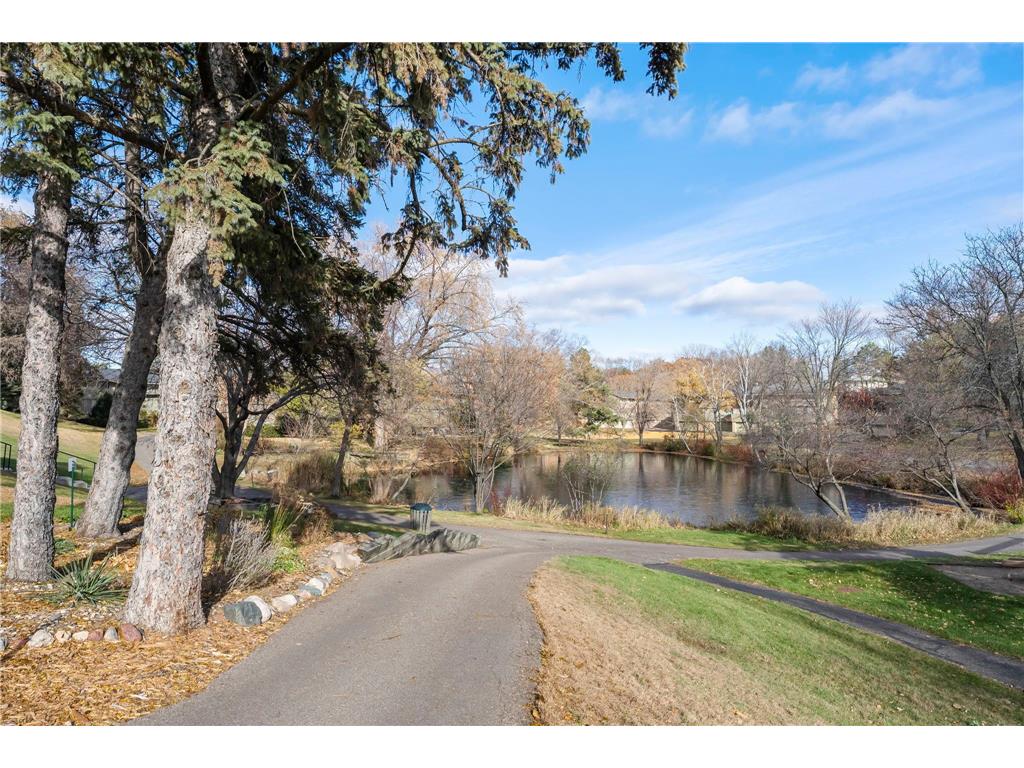 220 Windsor Lane New Brighton MN 55112 6815872 image54