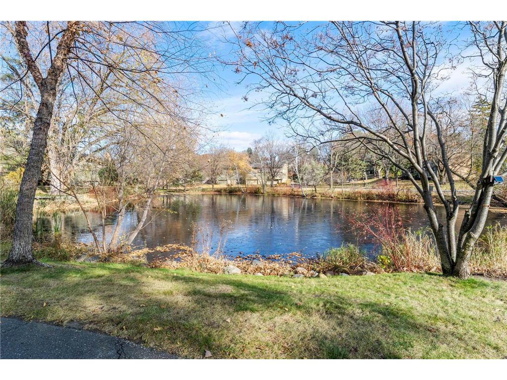 220 Windsor Lane New Brighton MN 55112 6815872 image57