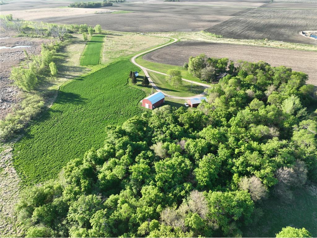 2200 216th Street Hamlin Twp MN 56256 6713006 image11