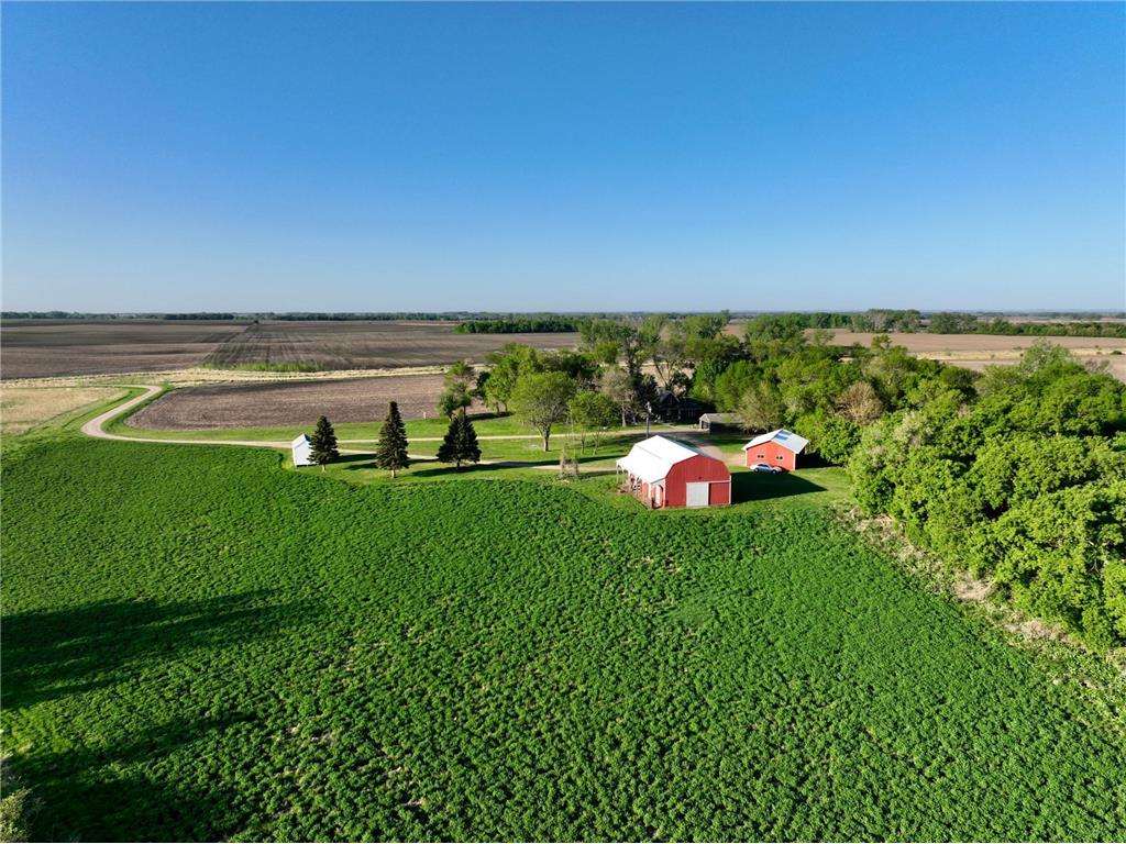 2200 216th Street Hamlin Twp MN 56256 6713006 image4