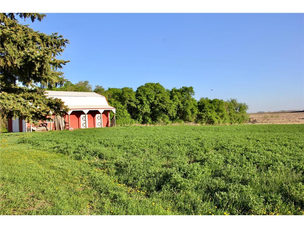 2200 216th Street Hamlin Twp MN 56256 6713006 image8