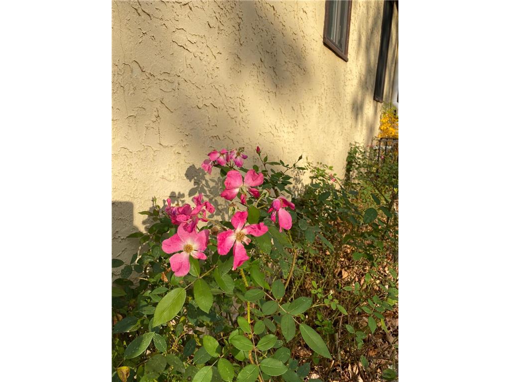 2200 Gardenette Drive S White Bear Lake MN 55110 7011038 image32