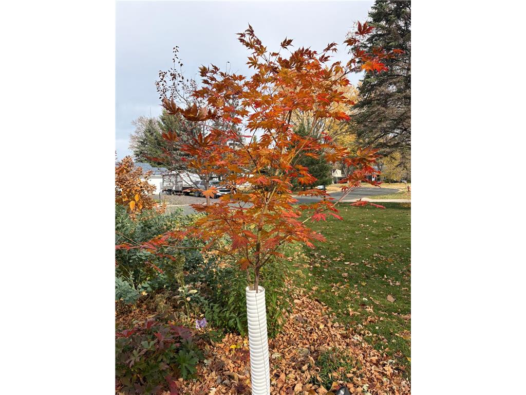 2200 Gardenette Drive S White Bear Lake MN 55110 7011038 image39