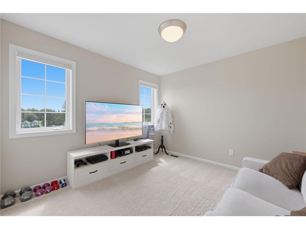 2200 Silver Leaf Trail Cologne MN 55322 7095732 image16