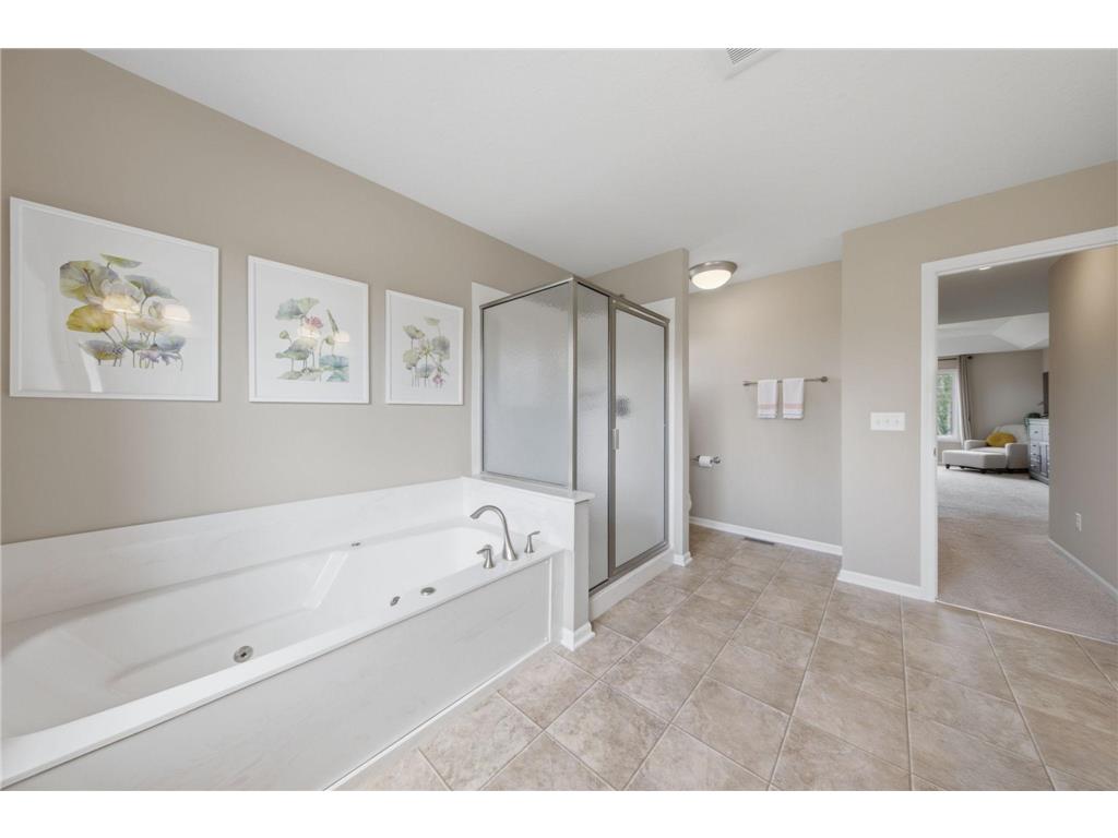 2200 Silver Leaf Trail Cologne MN 55322 7095732 image24