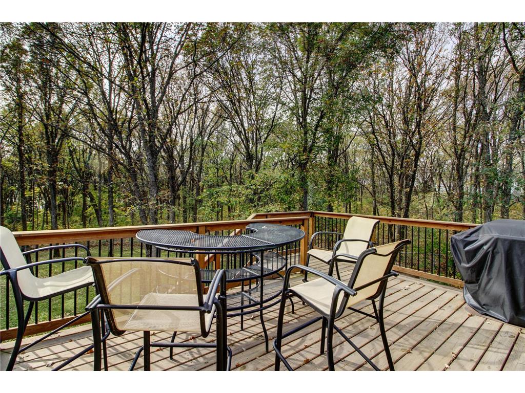 22015 Aquatic Drive Park Rapids MN 56470 7035857 image31