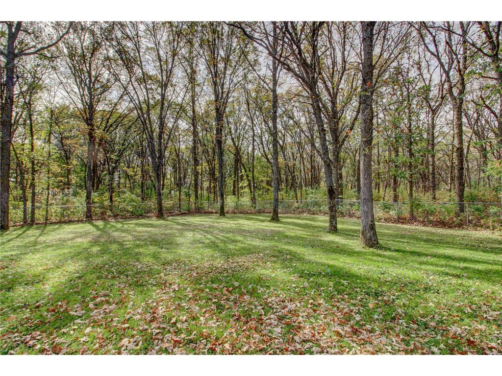 22015 Aquatic Drive Park Rapids MN 56470 7035857 image4
