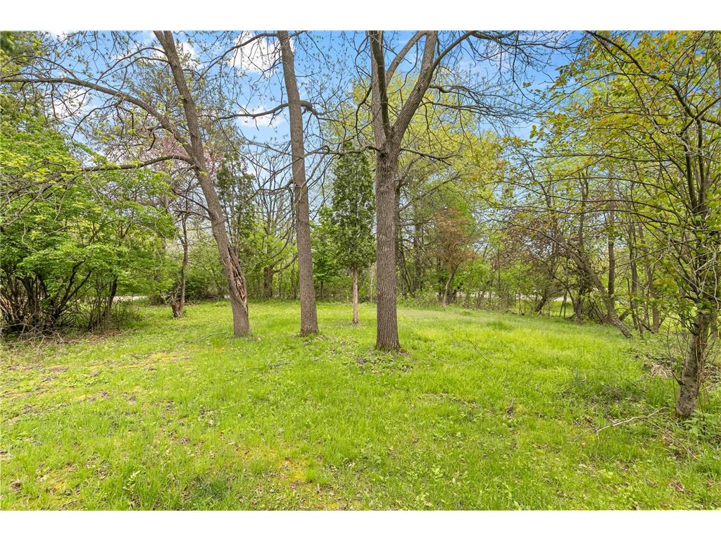 22018 Typo Creek Drive NE Linwood Twp MN 55092 7074381 image48