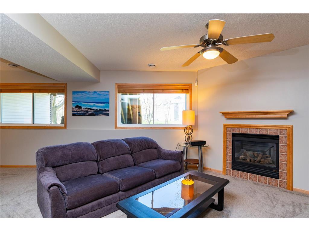 2204 Saint Johns Circle Woodbury MN 55129 7055956 image17