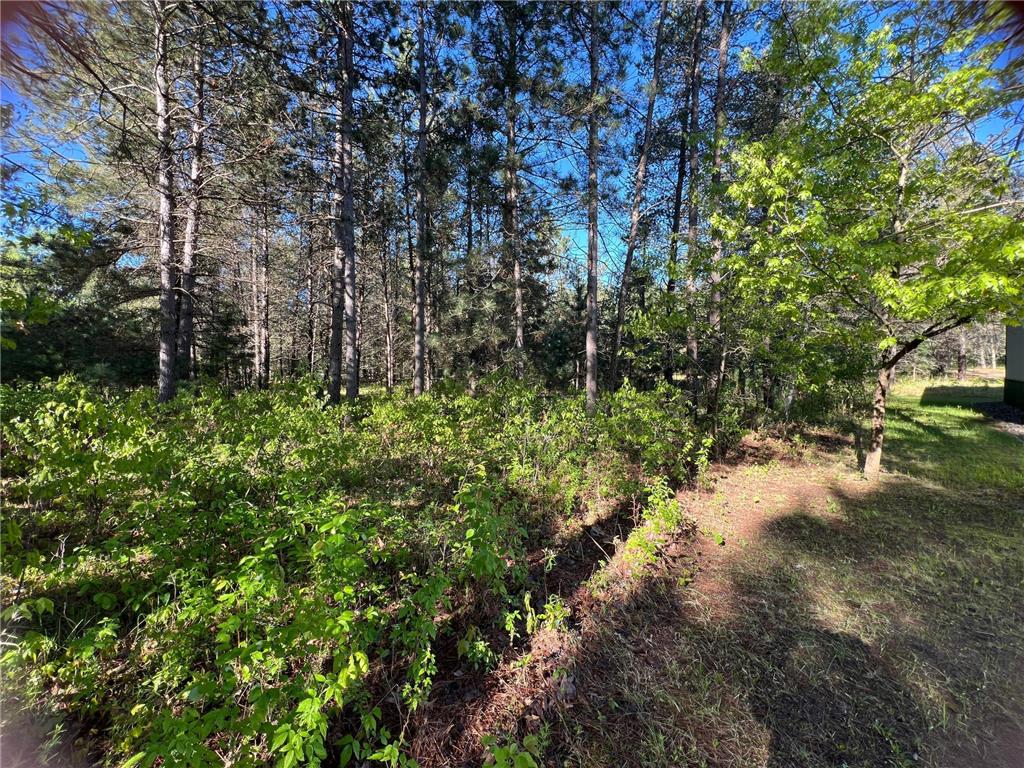 22045 Mollie Lake Road Nisswa MN 56468 7041366 image26