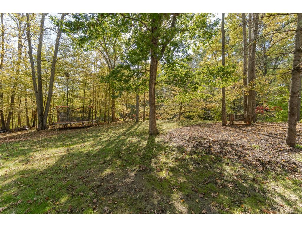 2205 67th Street NW Rochester MN 55901 6799678 image58