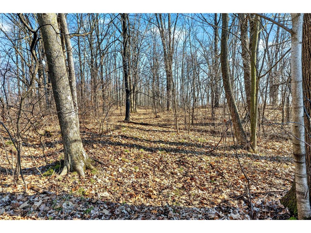 2205 9 3/4 Street Cumberland WI 54829 - Upper Vermillion 7054497 image25