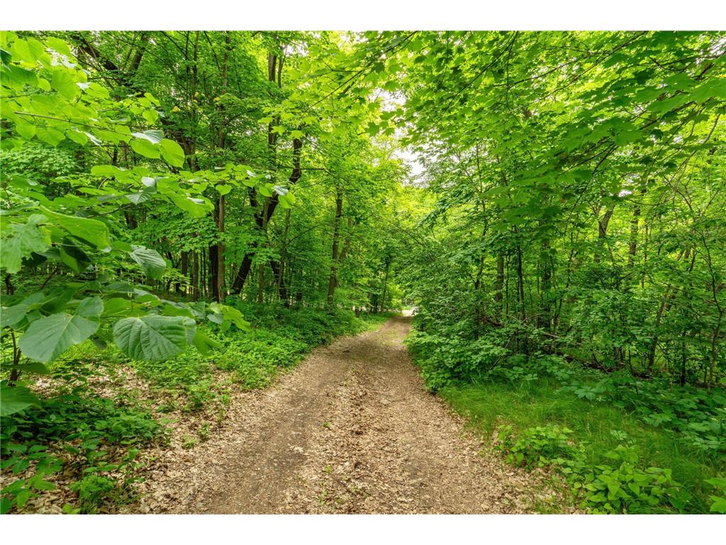 22054 Nirvana Trail Vining MN 56588 - East Battle Lake 6734303 image24