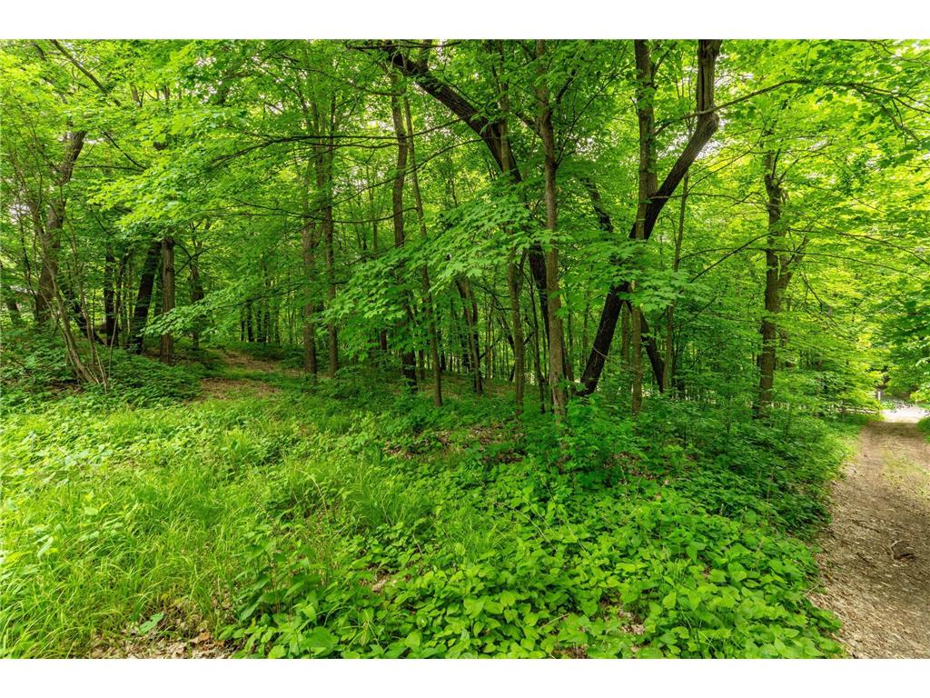 22054 Nirvana Trail Vining MN 56588 - East Battle Lake 6734303 image25